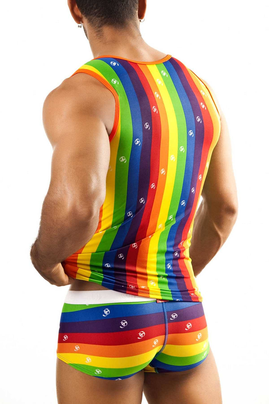 Joe Snyder Rainbow Sheer Tank