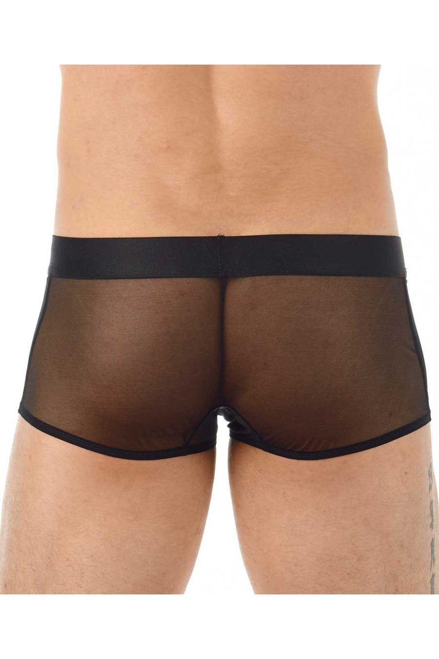 Gregg Homme Black Erotik Ultra Sheer Mesh C-Ring Boxer Trunk