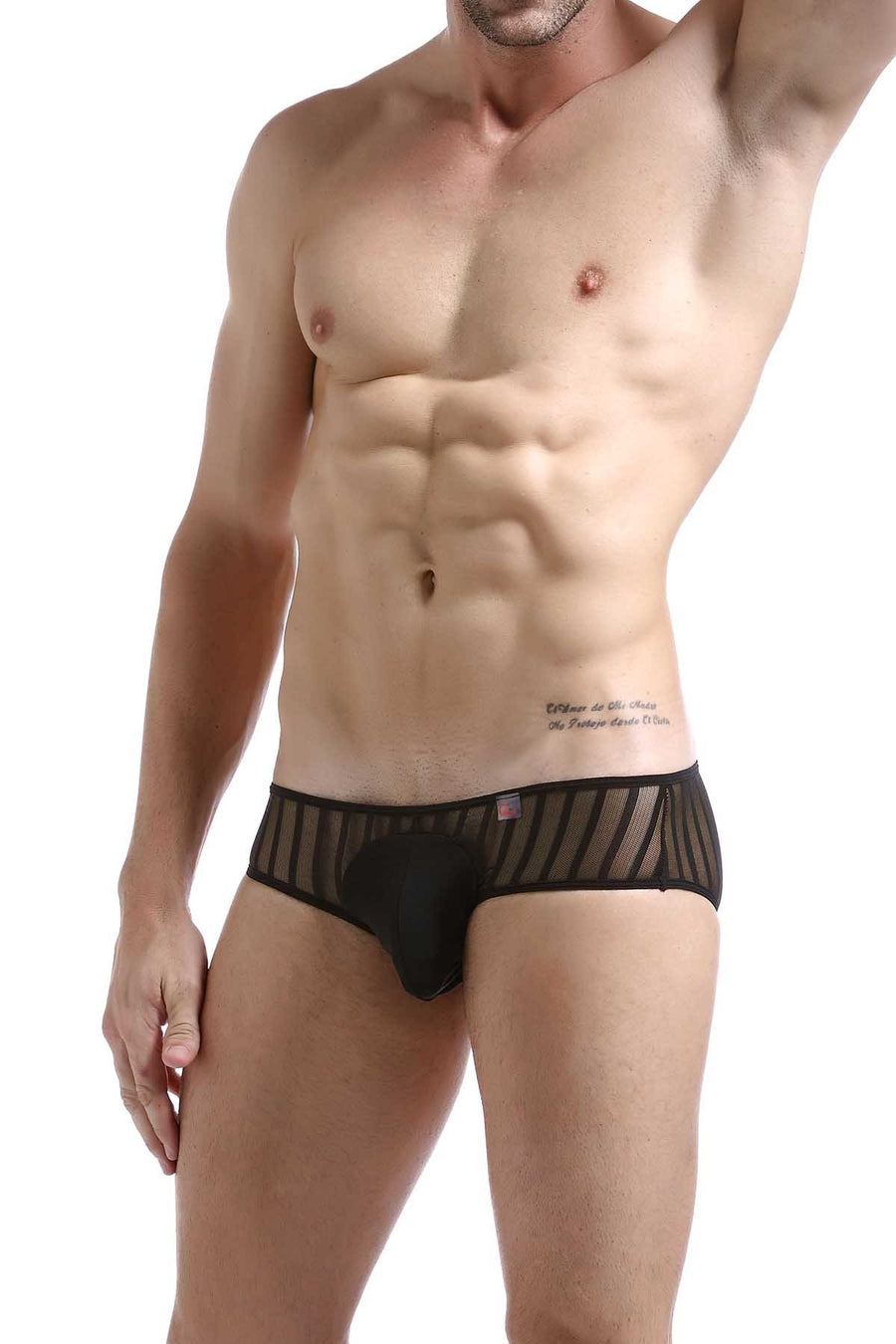 PetitQ Black Mesh Stripe Antony Bikini