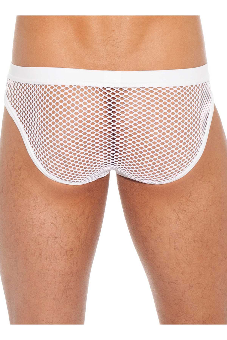 Gregg Homme White Beyond Doubt Brief