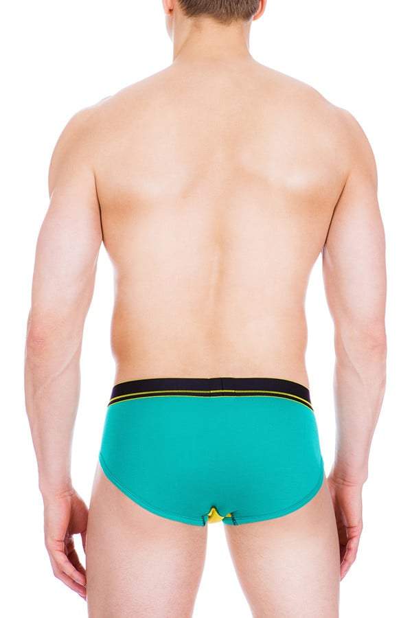 Ken Wroy Green Envy Brief