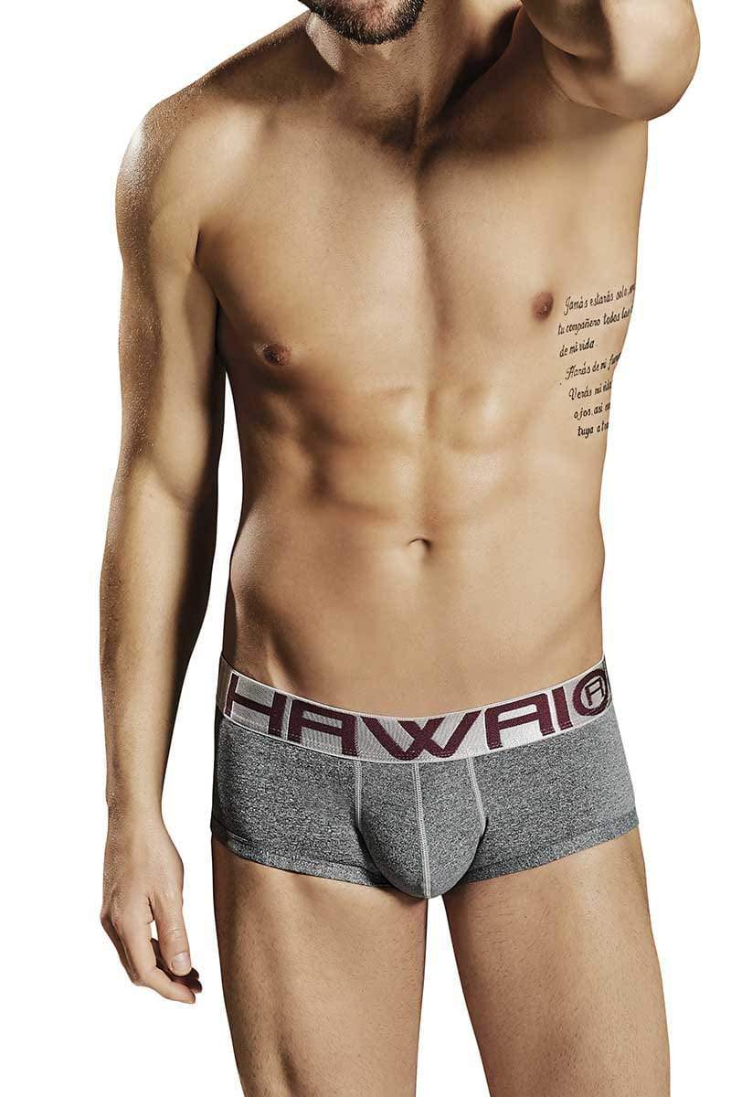 Hawai Grey Brief