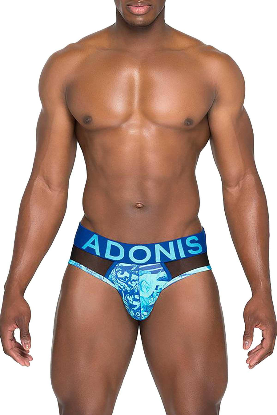 Adonis Blue Garden of Eden Brief
