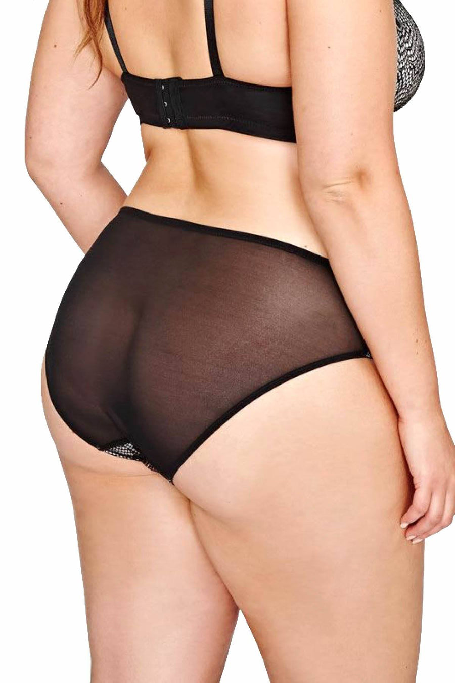 Ashley Graham PLUS Silver-Rain/Black Low-Rise Lace-Waist Bikini Brief