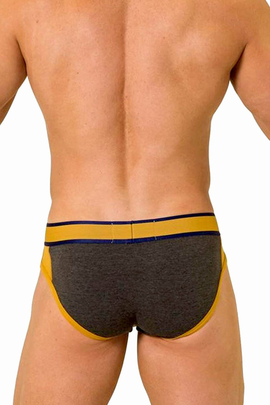 Baskit Cement America Brief