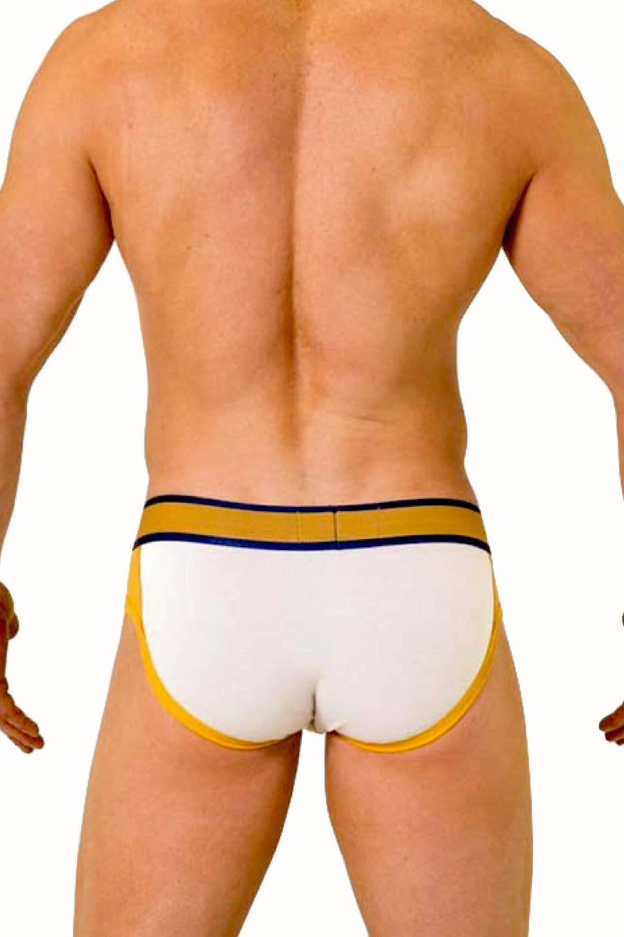Baskit Super-White America Brief
