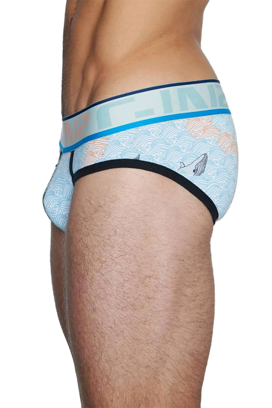 C-IN2 Baleen Wave Screenshot Low-Rise Brief