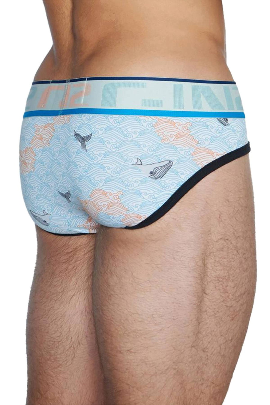 C-IN2 Baleen Wave Screenshot Low-Rise Brief