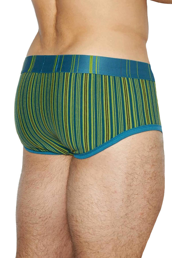 C-IN2 Benjamin-Blue Spectrum Punt Brief