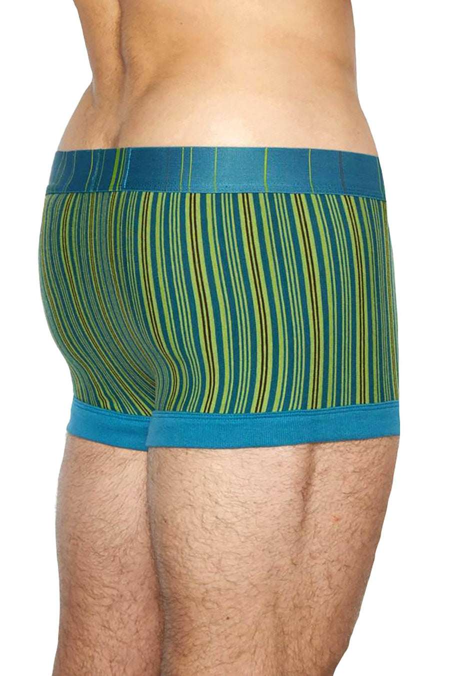 C-IN2 Benjamin-Blue Striped Spectrum Trunk