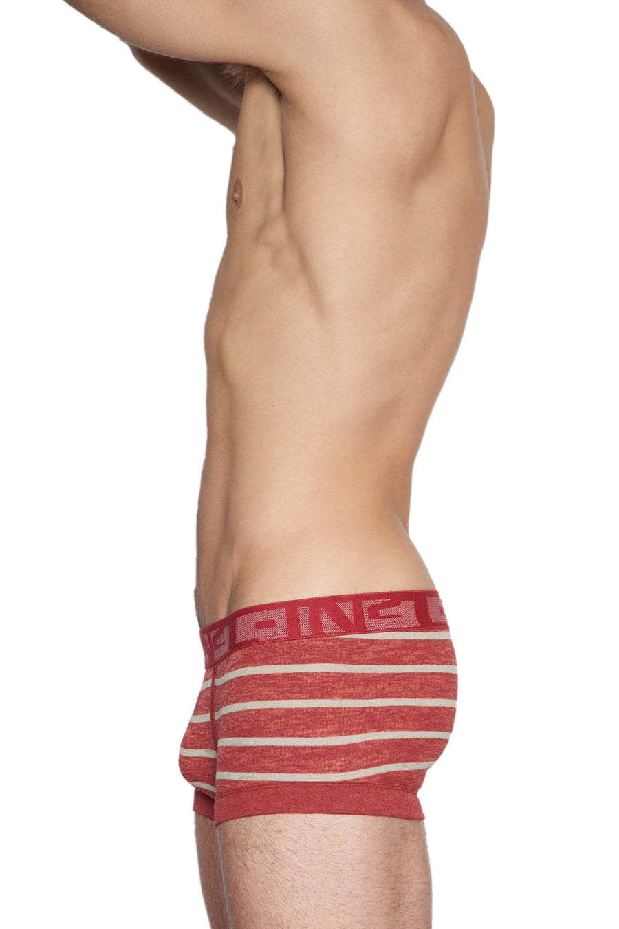 C-IN2 Chantenay Hand Me Down Trunk
