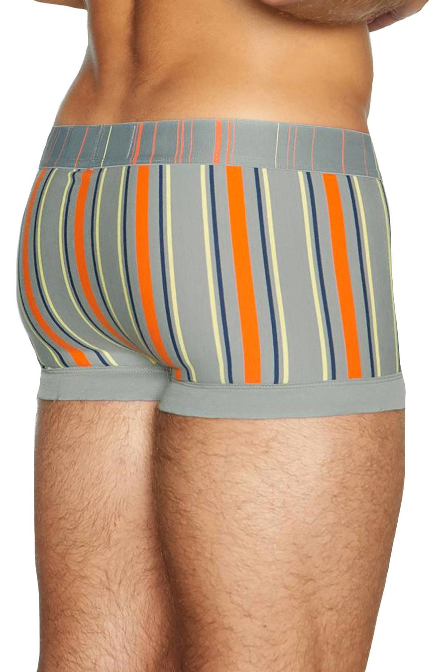 C-IN2 Sailing-Grey Striped Spectrum Trunk