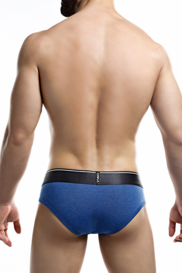 C4M Blue Elemental Brief