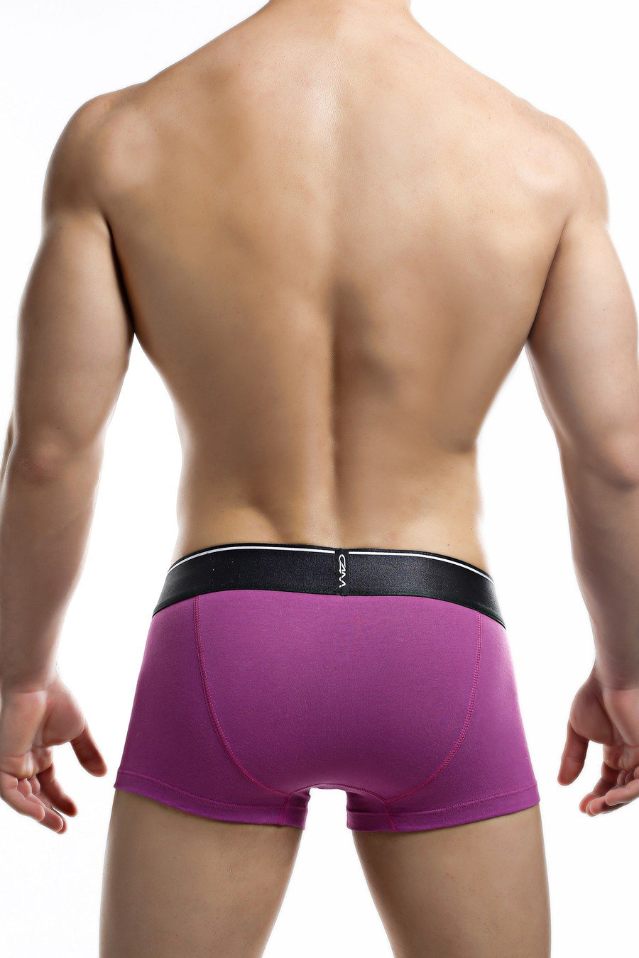 C4M Violet Elemental Trunk