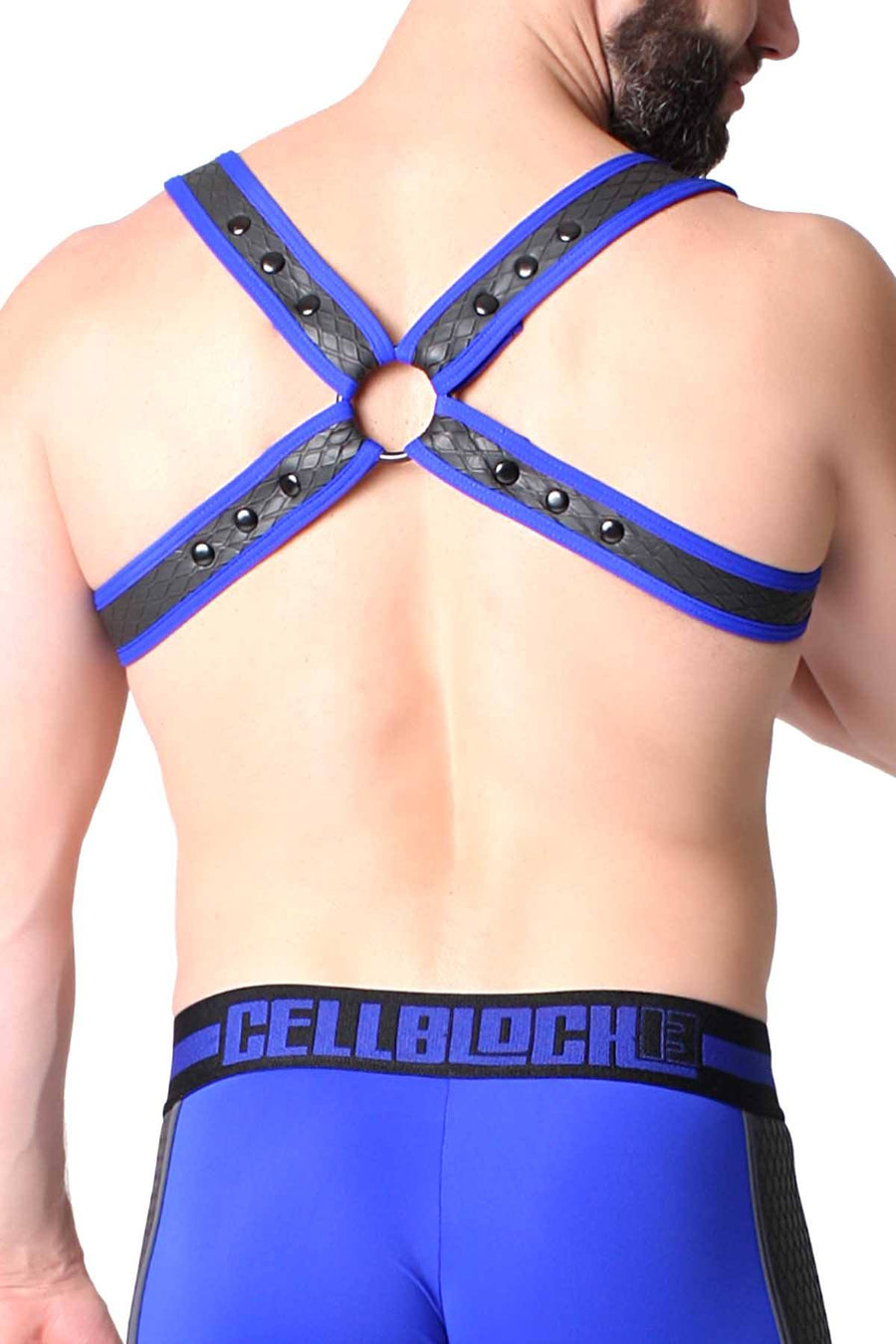 CellBlock 13 Blue Gridiron Pocket Harness