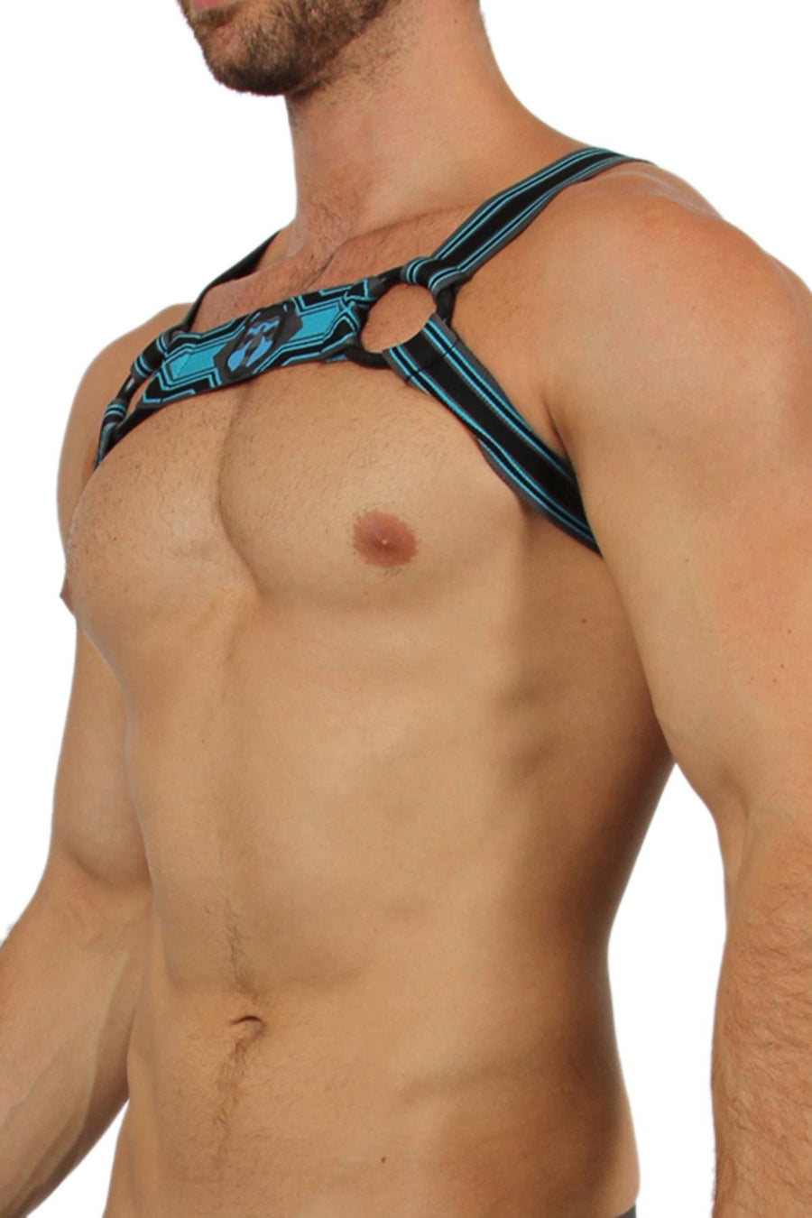 CellBlock13 Blue Kennel Club Harness