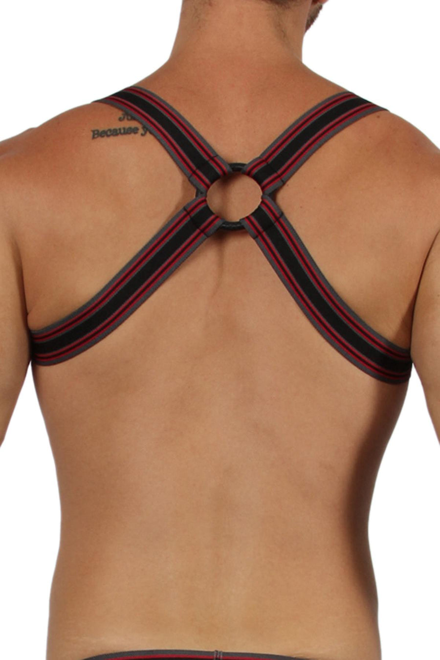 CellBlock13 Red Kennel Club Harness