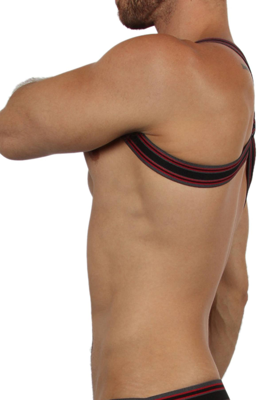 CellBlock13 Red Kennel Club Harness