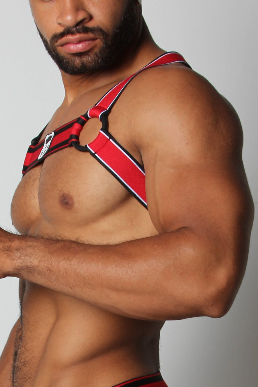 CellBlock13 Red Kennel Club Scout Harness