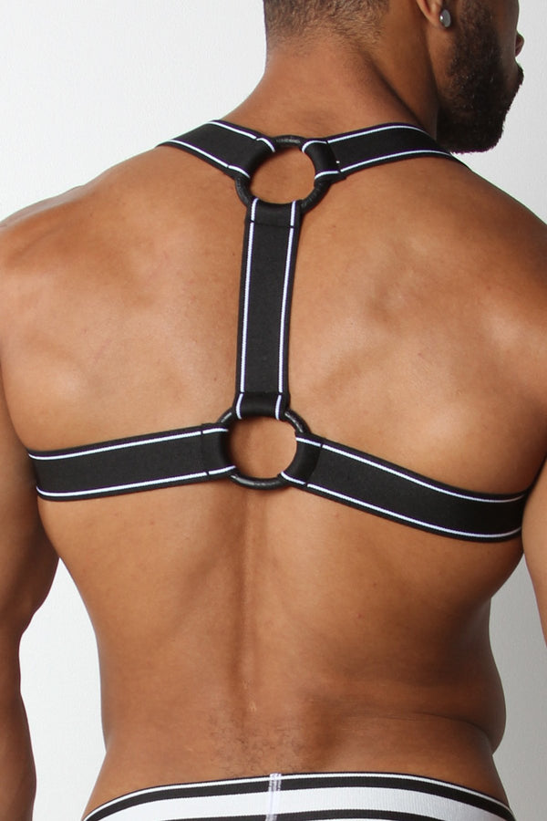 CellBlock13 White Kennel Club Scout Harness