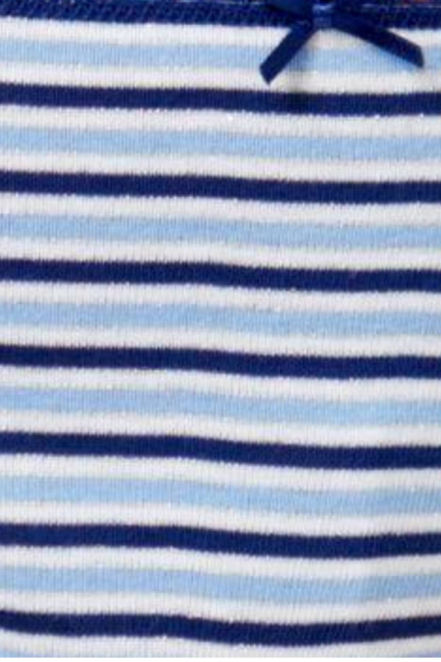 Charter Club Intimates Blue/Stripe Pretty Cotton Bikini Brief