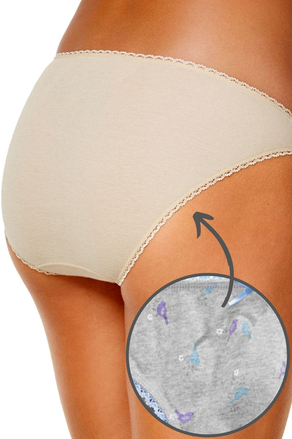 Charter Club Intimates Grey Little-Birdies Printed Pretty Cotton Bikini Brief