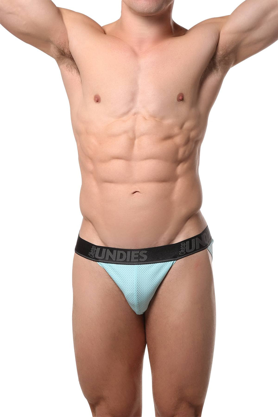 CheapUndies Aqua Mesh Bikini Brief