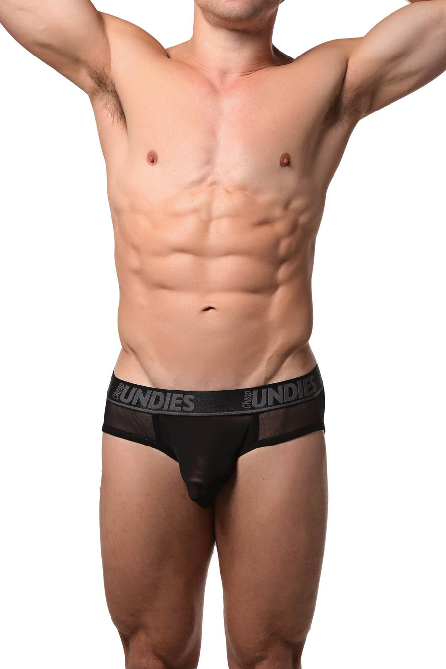 CheapUndies Black Exposed Mesh Brief