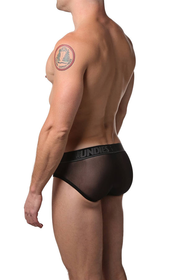 CheapUndies Black Exposed Mesh Brief