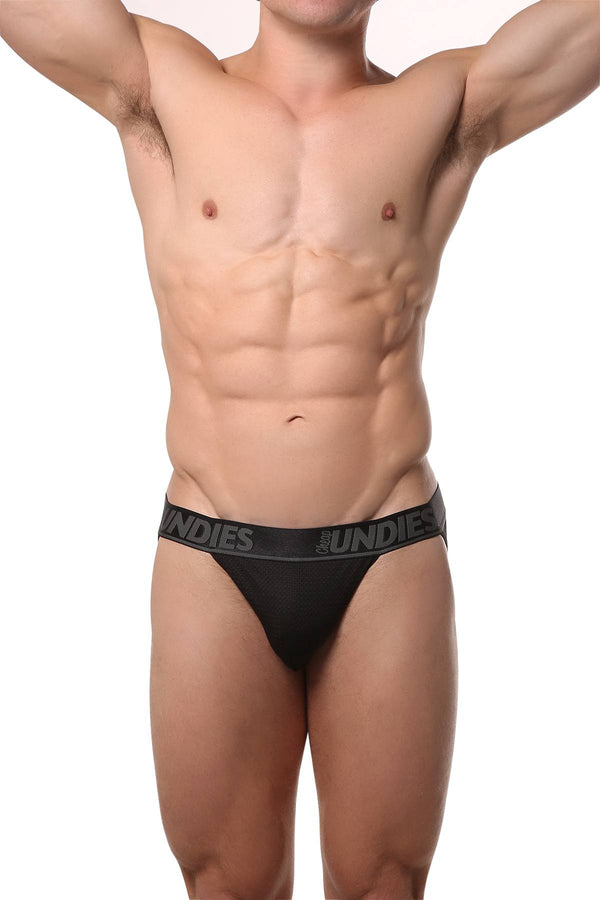 CheapUndies Black Mesh Bikini Brief