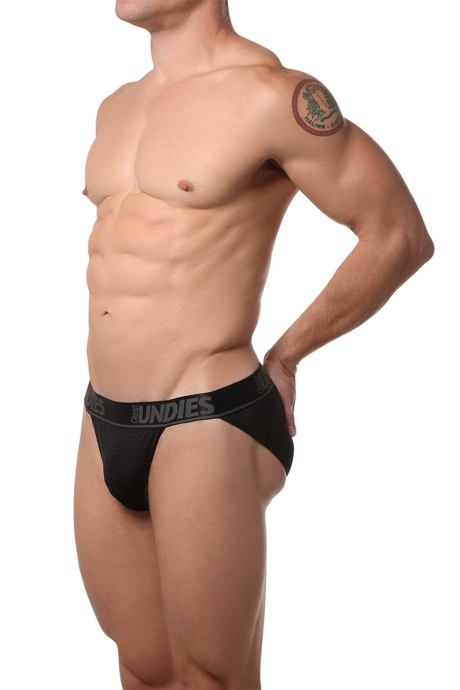 CheapUndies Black Mesh Bikini Brief