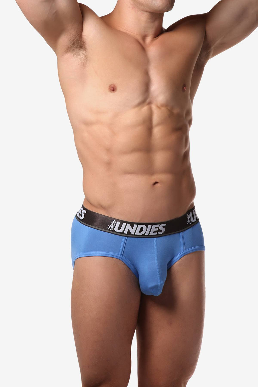 CheapUndies Blu2e Touch Brief