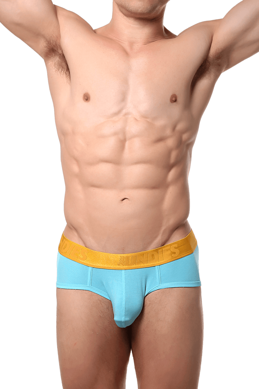 CheapUndies Blue Luxe Brief