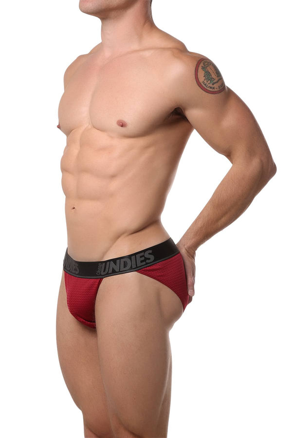 CheapUndies Brick-Red Mesh Bikini Brief