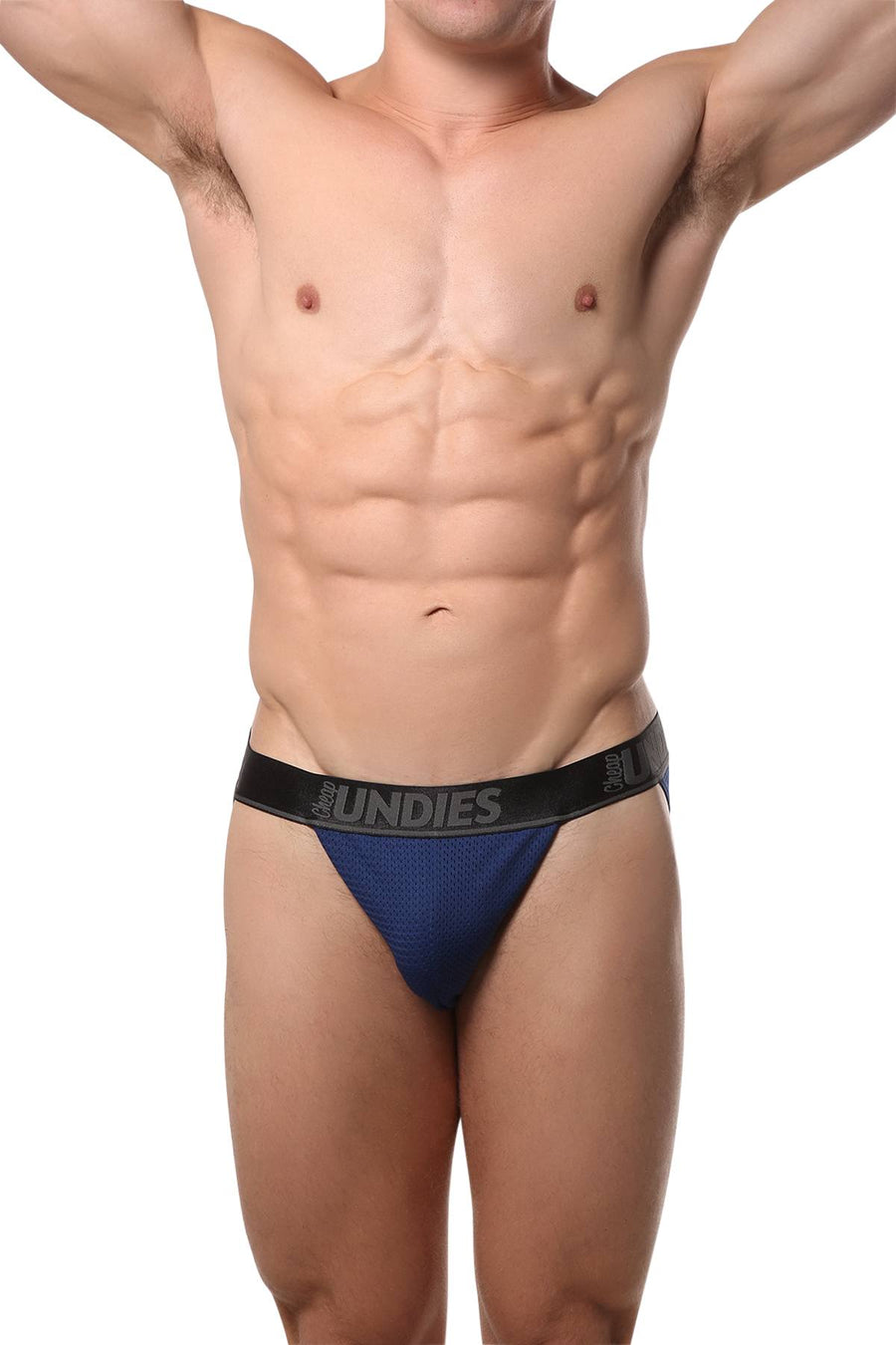 CheapUndies Navy Mesh Bikini Brief