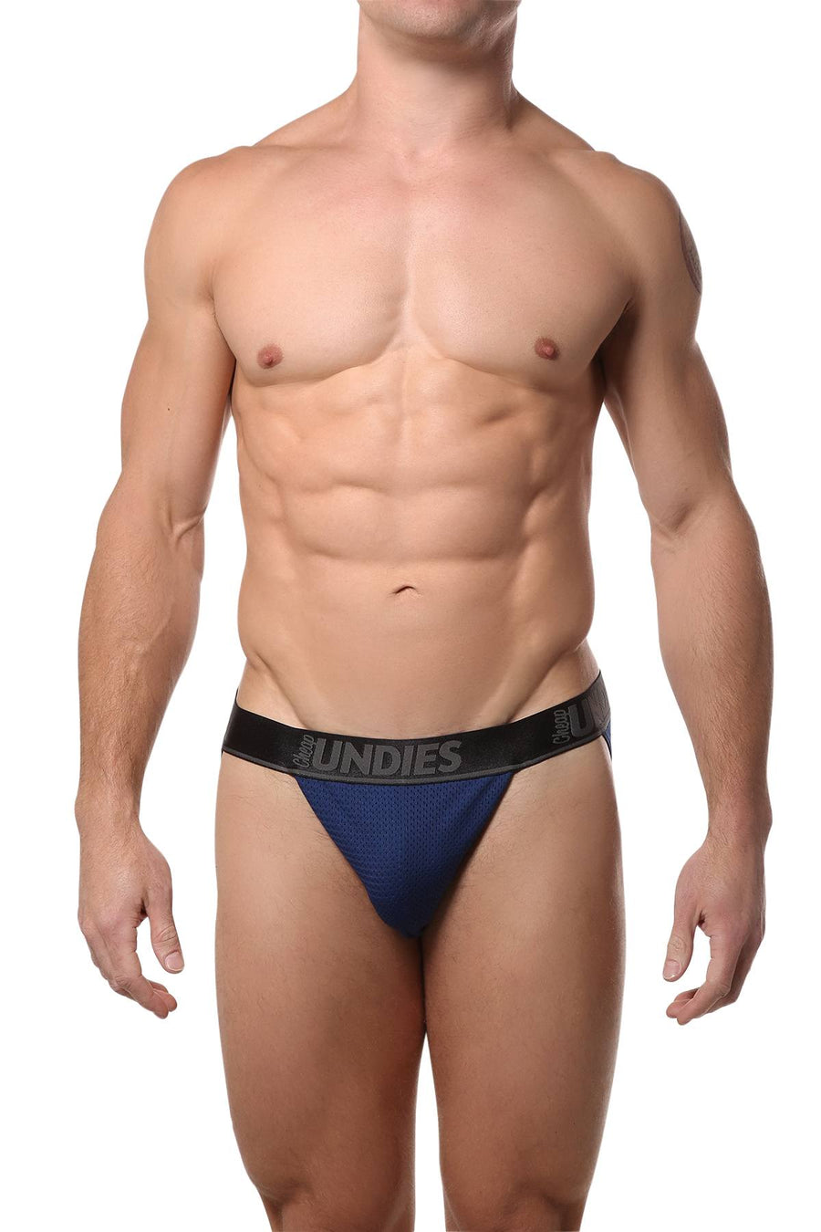 CheapUndies Navy Mesh Bikini Brief