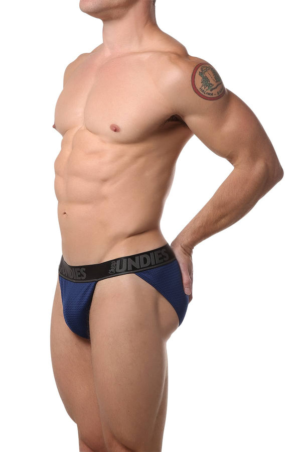 CheapUndies Navy Mesh Bikini Brief