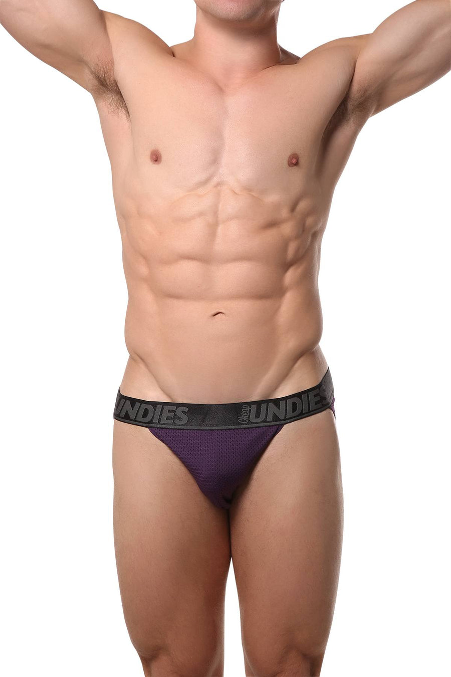 CheapUndies Purple Mesh Bikini Brief