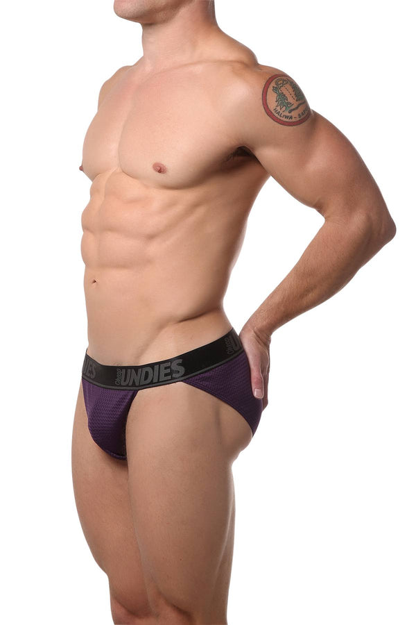 CheapUndies Purple Mesh Bikini Brief