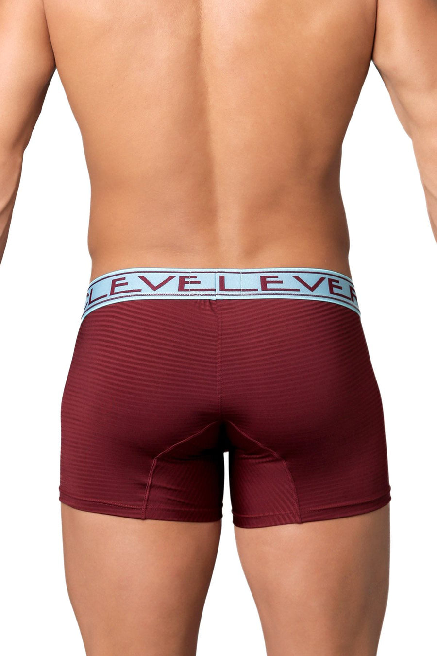Clever Aqua/Wine Faint Stripe Limited Edition Trunk