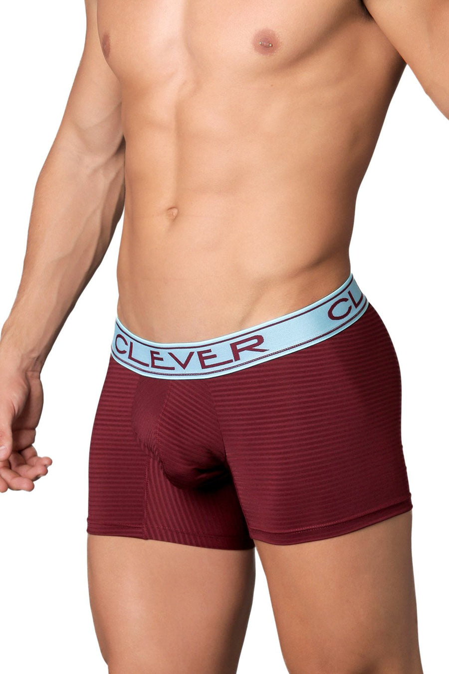 Clever Aqua/Wine Faint Stripe Limited Edition Trunk