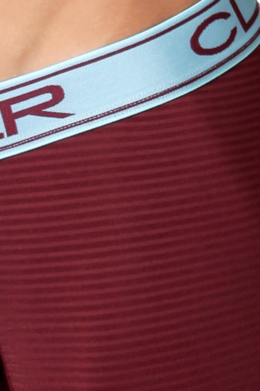 Clever Aqua/Wine Faint Stripe Limited Edition Trunk