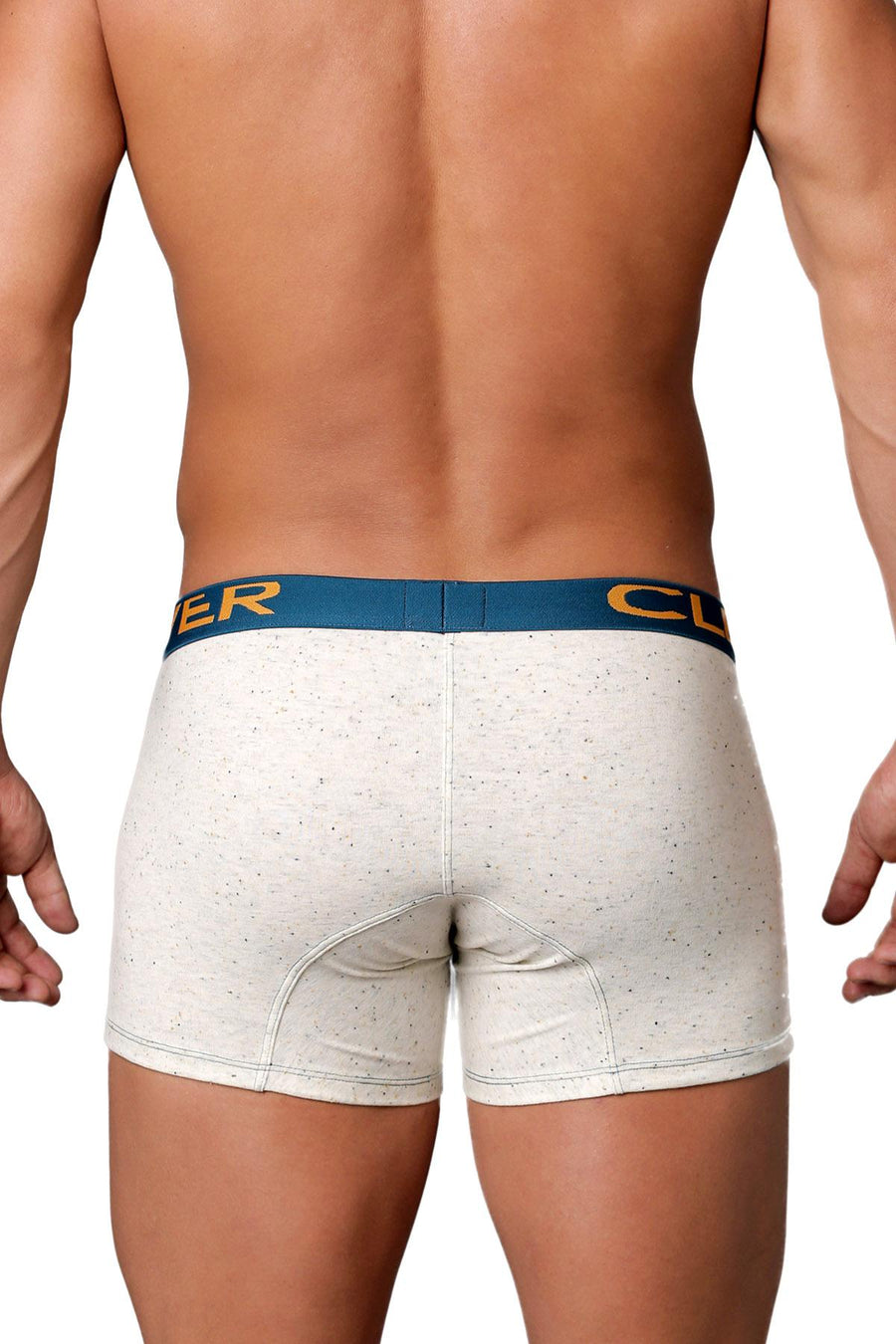 Clever Beige/Teal/Gold Limited Edition Speckled Trunk