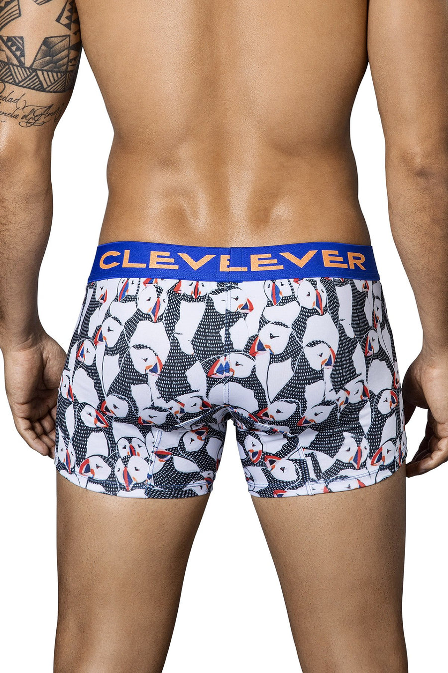 Clever Black/Blue Arctic Trunk