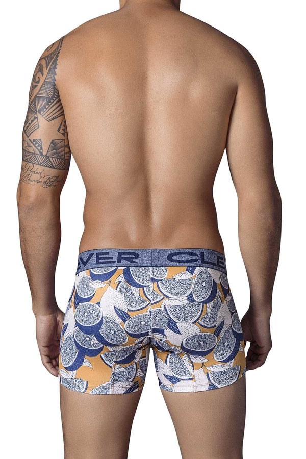 Clever Dark-Blue Garden Boxer Brief