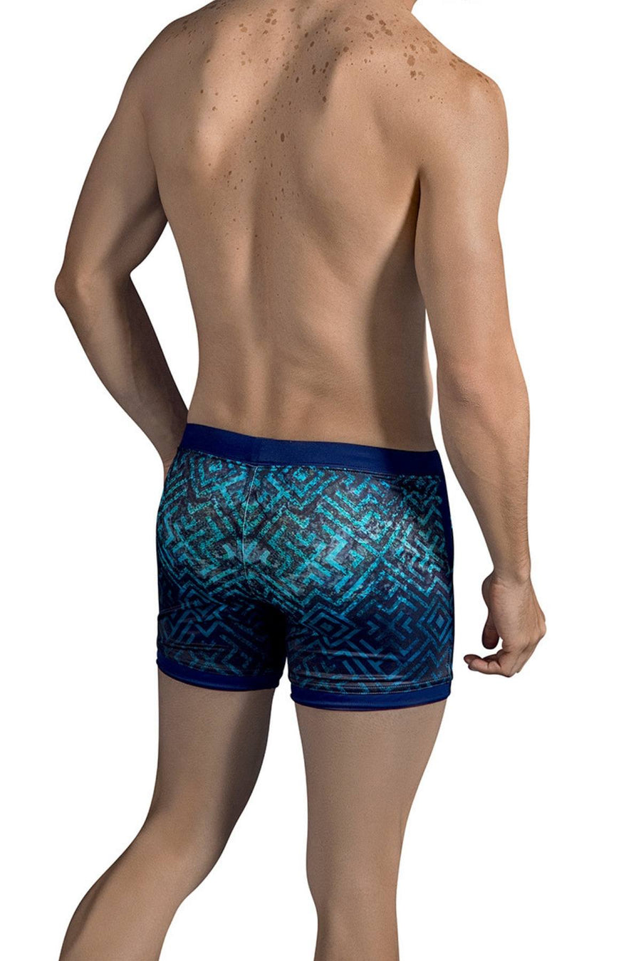 Clever Dark-Blue Labyrinth Swim Trunk