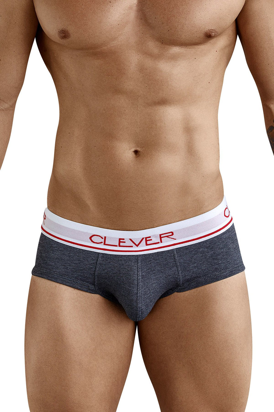 Clever Dark Grey Canadian Classic Brief