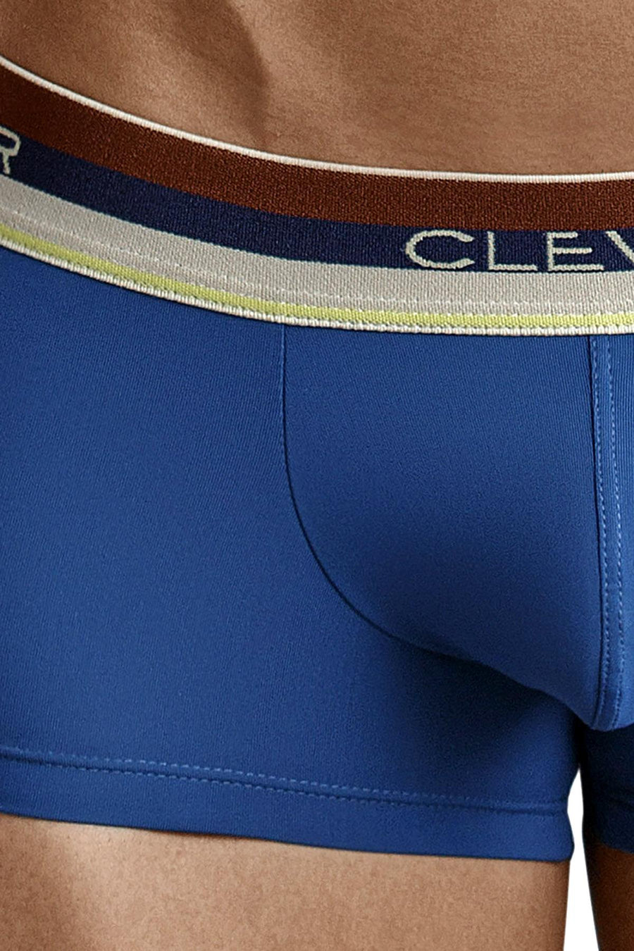 Clever Dark Teal Cambodian Latin Trunk
