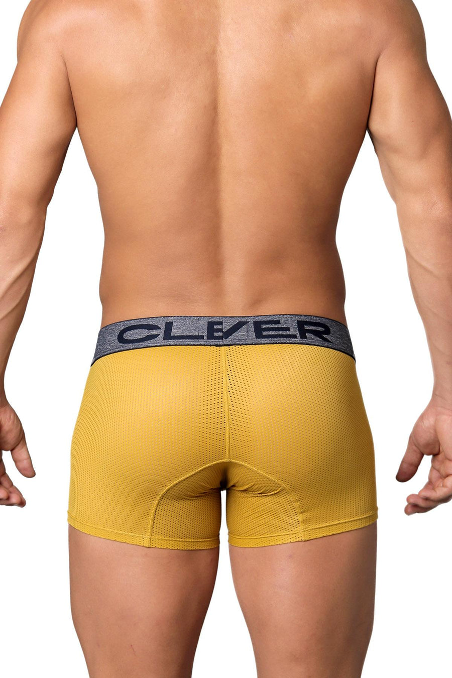 Clever Gold Limited Edition Mesh Trunk