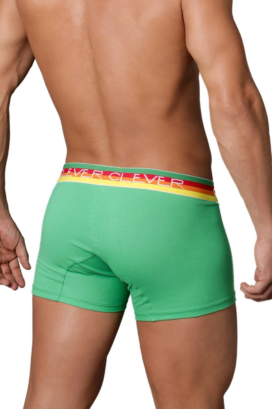 Clever Green/Rainbow Limited Edition Trunk